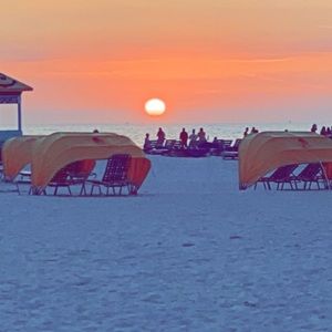 Meet your Posher, Autumn